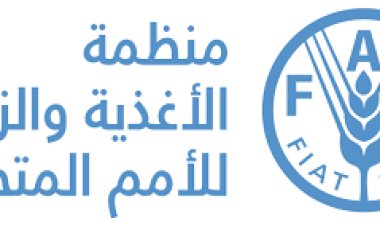 الفاو تدعم المبادرة الوطنية للمشروعات الخضراء الذكية بمحافظات مصر
