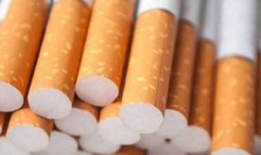 رئيس شعبة الدخان ينفي ارتفاع أسعار السجائر بالسوق 