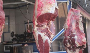 ضبط 100 كيلو لحوم فاسدة لبقرة مريضة تحمل أختام مزورة بسوهاج