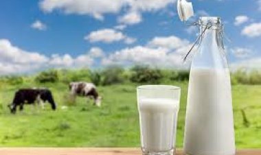 خاص| «منتجي الألبان»: استقرار الأسعار بالأسواق دون زيادة