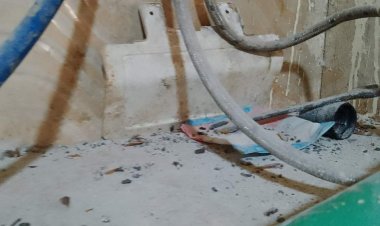 صحة المنوفية..غلق 3 مخابز وإنذار 4 آخرين بسبب وجود مخلفات فئران