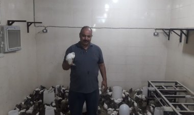 «سمان الخير».. مبادرة جديدة لتشغيل الأرامل والأكثر إحتياجاً فـي القليوبية 