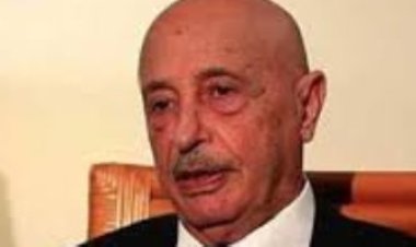 رئيس مجلس النواب الليبي يبحث سبل تحقيق التوافق على الدستور