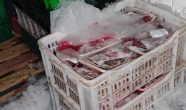 ضبط  17 طن لحوم ودواجن وأسماك غير صالحة للاستهلاك الآدمي بالمنوفية