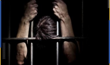 السجن المشدد 5 سنوات لشقيقين في اتهامهما بإحداث عاهة مستديمة لمواطن بسوهاج