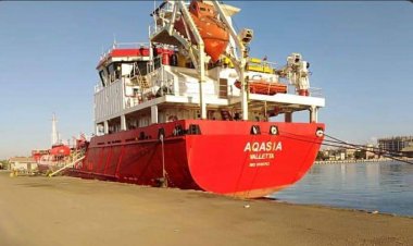 شحن 3150 طن «صودا كاويه» وتداول 21 سفينة بموانئ بورسعيد