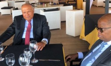 سامح شكري يلتقي بوزير جازجية الجابون مايكل موسى أدامو