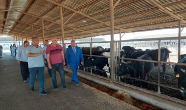 السكرتير العام المساعد بالبحيرة يتفقد مشروع عاداة للثروة الحيوانية بكفر الدوار