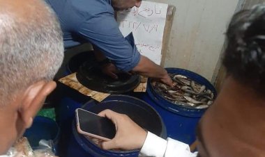 المنوفية: ضبط نصف طن أسماك ولحوم ودواجن غير صالحة للاستهلاك