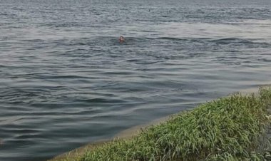 العثور على جثة شخص مجهول الهوية طافية على سطح النيل بقنا