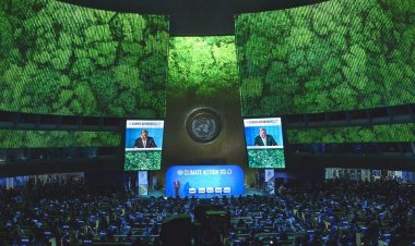 «مصر للطيران» تشارك رسمياً بمؤتمر قمة المناخ في شرم الشيخ