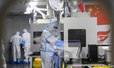 عاجل| اكتشاف فيروس جديد للقوارض في مختبر«ووهان» بالصين