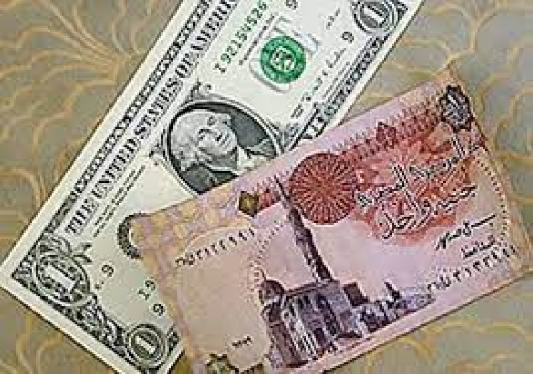 ارتفاع سعر الدولار أمام الجنيه في العقود الفورية