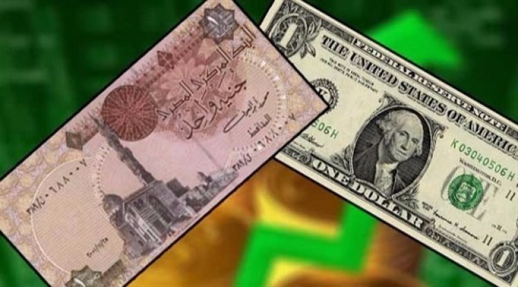 استقرار سعر الدولار مقابل الجنيه المصري.. منتصف تعاملات اليوم الاثنين