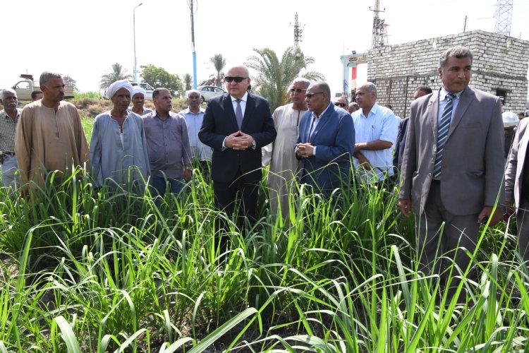 محافظ قنا يتابع أول حقل إرشادي لزراعة قصب السكر