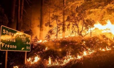 عاجل.. حرائق غابات كاليفورنيا تجبر سكان بلدة كاملة على الهرب بعد وصولها المنازل