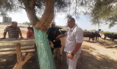 البحيرة: علاج115 ألف رأس ماشية ودواب وطيور وحيوانات