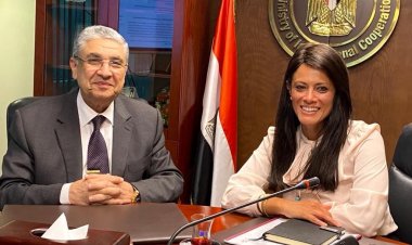 وزيرا التعاون الدولي والكهرباء يبحثان مشروعات «الطاقة» ضمن برنامج «نوفي»