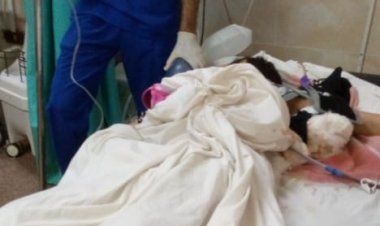 نيرة أشرف جديدة..شاب يقتل فتاة في المنوفية لرفض أهلها خطبته