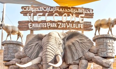 «الجنينة»أول فيلم مصري يتم تصويرة داخل حديقة حيوان أبو ظبي