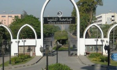 مصرع دكتورة بجامعة المنيا إثر سقوط سيارتها بترعة الإبراهيمية