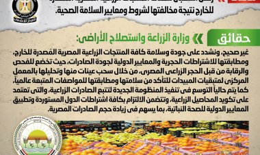 الحكومة تنفي رفض استقبال شحنات المنتجات الزراعية المصرية المصدرة للخارج