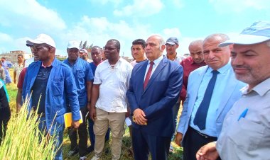 البحيرة تستقبل وفد دولة كوت ديفوار لمتابعة حصاد محصول الأرز بمركز الرحمانية