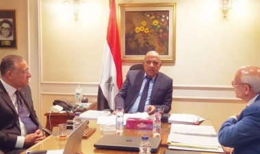 وزير قطاع الأعمال يتابع مستجدات مشروع إنتاج الأمونيا الخضراء