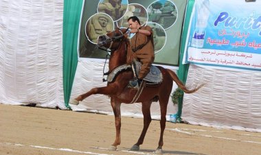 انطلاق فاعليات مهرجان الخيول العربية في دورته 26