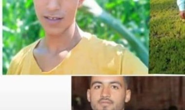 غرق 3 شباب من قرية واحدة في الشرقية داخل مياه توشكى بأسوان