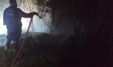 اشتعال النيران بثلاجة بطاطس بالدقهلية