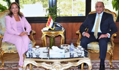 وزير الطيران يبحث مع مفوضة الطاقة والبنية التحتية بالاتحاد الإفريقي سبل تعزيز التعاون