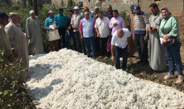 وكيل زراعة الغربية يستقبل خبراء القطن ضمن مبادرة «بيئة مسئولة»