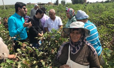 توزيع مساعدات فورية على 10 أسر أولى بالرعاية بالشرقية