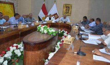 بحضور محافظ الوادي الجديد.. تعرف على  أبرز قرارات مجلسي «الخدمات والإسكان»