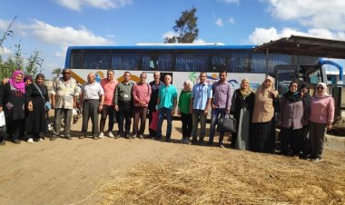 صحة الشرقية: فحص 2400 مريض ضمن القافلة الطبية «حياة كريمة» بصان الحجر