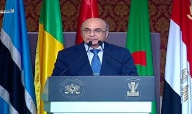 وزير العدل: رعاية الرئيس تاكيدا من الدولة على أهمية الشراكة الإفريقية