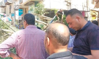 إصابة شخصين إثر سقوط عمود إنارة وشجرة عليهم بالمنوفية