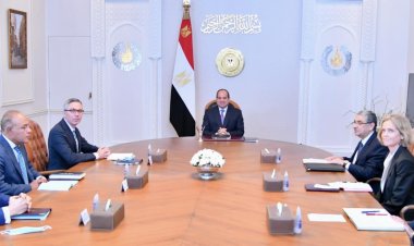 اليوم.. السيسي يستقبل رئيس شركة «سكاتك» النرويجية لتوليد الطاقة الجديدة والمتجددة