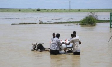 118 قتيلا ومثلهم مصابين.. إجمالي ضحايا الأمطار والسيول في السودان