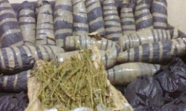 العثور على 30 كيلو بانجو داخل مركب بنيل العياط