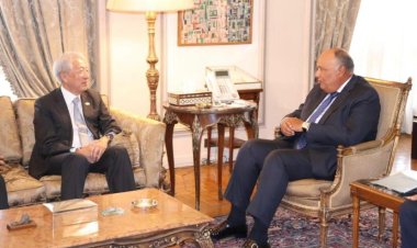 مناقشة تغير المناخ.. وزيرالخارجية يستقبل كبيروزراء سنغافورة