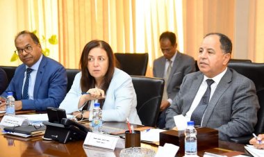 وزير المالية: نتطلع لتعزيز مساهمات المصريين بالخارج في عملية التنمية