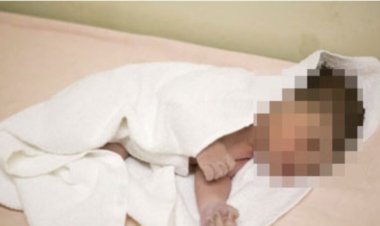 عمره أيام.. العثور على رضيع مجهول النسب داخل الزراعات بقنا