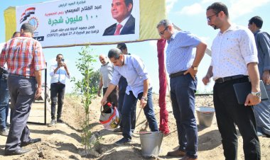 «١٠٠ مليون شجرة» تزين محافظة الغربية