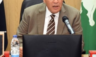 محافظ الشرقية: تنفيذ مشروعات بتكلفة 252 مليون و300 ألف جنيه