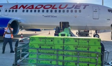 13 طنا من الزهور في وداع الملكة إليزابيث