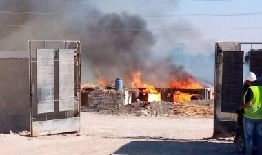 تفاصيل حريق مزرعة خشبية خاصة بمحطة الصرف الصحي بقرية الكولة في سوهاج