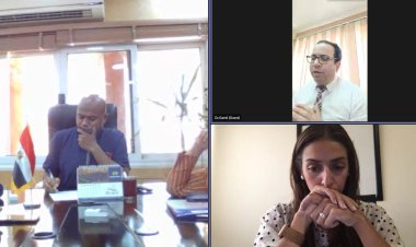 وزارة التخطيط تناقش مبادرة «القرية الخضراء» مع محافظة أسوان وشركة «أي كونسلت» 