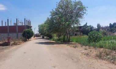 محافظ الشرقية: 25 موقع لتجميع الأرز في المحافظة